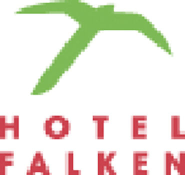 Hotel Falken 2*